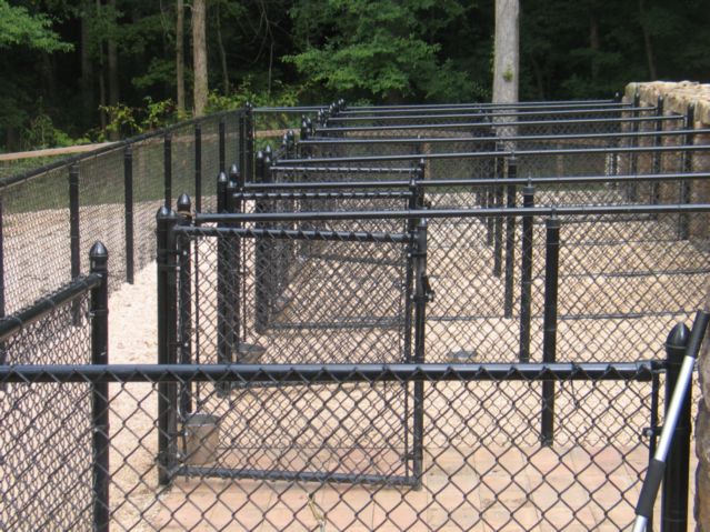 Kennels